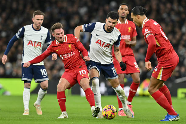 每年一度的 每年一度的